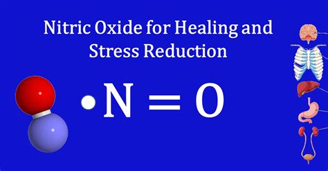 Meditation, Nitric Oxide, & Living a Very Long Life - EOC Institute