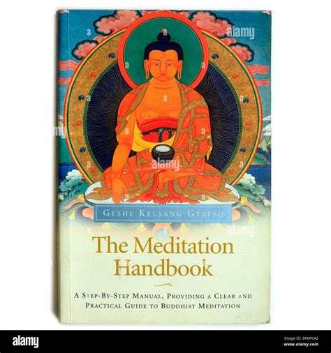 Meditation handbook the a step by step manual providing a clear and practical guide to buddhist meditation. - Manuale dei parametri della serie fanuc o m.