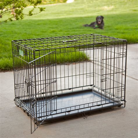 Medium dog cage walmart. Things To Know About Medium dog cage walmart. 