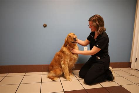 214 views, 3 likes, 6 loves, 2 comments, 5 shares, Facebook Watch Videos from MedVet Lexington: Get to know Dr. Kate Bedard, our Board-certified... 214 views, 3 likes, 6 loves, 2 comments, 5 shares, Facebook Watch Videos from MedVet Lexington: Get to know Dr. Kate Bedard, our Board-certified Veterinary Ophthalmologist at MedVet Lexington. You.... 