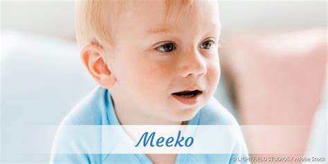 Meeko » Name mit Bedeutung, Herkunft, Beliebtheit & mehr