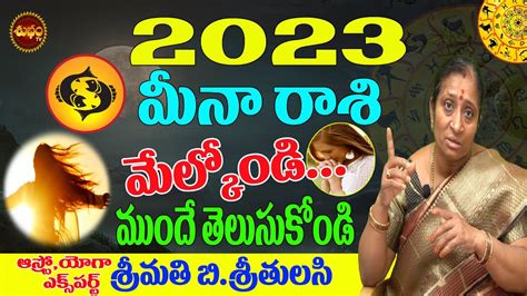 Meena Rasi 2023 Predictions