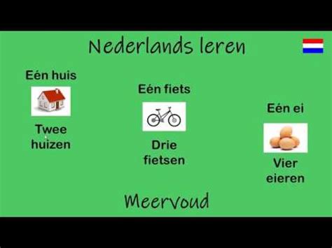 Meervoudsvorming en vervoeging in het nederlands. - Davis drug guide for nurses 2013.