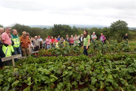 Meet Our Partner: Irish Seed Savers - Traverse Journeys