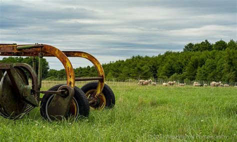 Meet Your Farmers: High Hopes Farm - MAINE FARMLAND TRUST