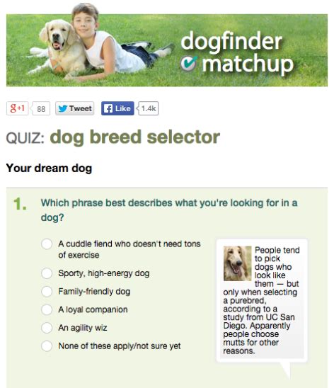 Meet the Moodle! - Dog Breed Selector Quiz