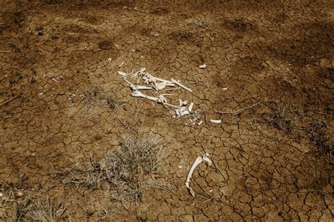 Meet the photographer on a mission to help our farmers - triple j