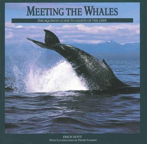 Meeting the whales the equinox guide to giants of the deep. - Words their way upper level spelling inventory feature guide.