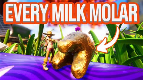 There are 29 Milk Molars in the Grounded backyard that were added in with the Hot and Hazy Update 0.11.0. This video guide shows where all 29 Milk Molars are.... 