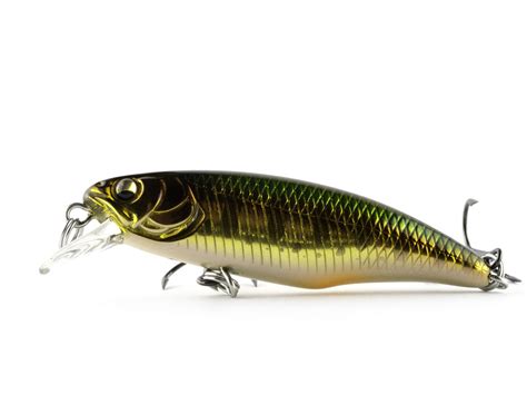 Shop the best selection of Megabass lures. . 