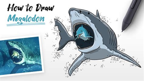 Megalodon Drawing How To Draw A Megalodon Step By Step