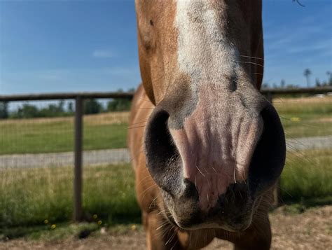 Megangene Leaked XxX 💋 108 Pics