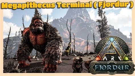 Megapithecus fjordur. We head into the ravager cave where you can find Roll Rats and Shinehorns and summon the Megapithecus Giant Gorilla Boss so we can work our way up to the mig... 