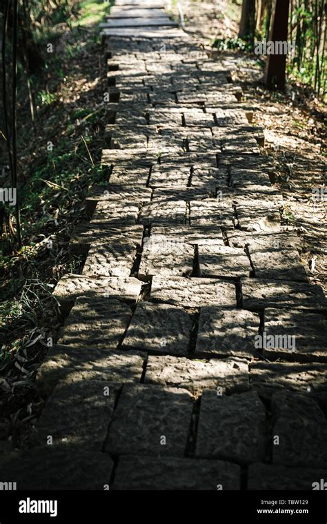 🍌 Mei Blossom Leaked [SEX VIDEO]