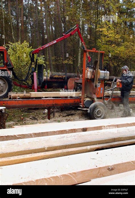 Meine Holz Be- und Verarbeitung [Wood treatment and …