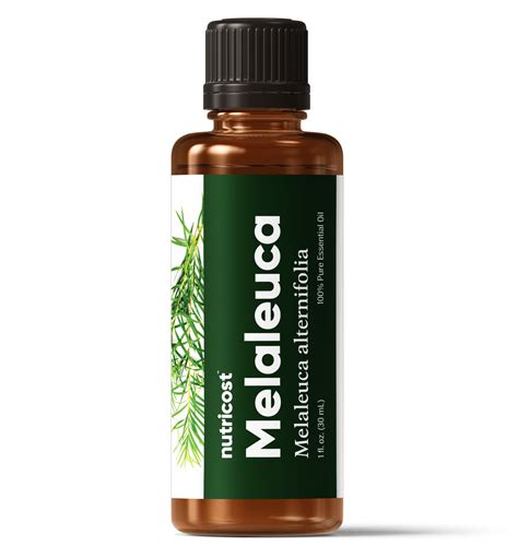 Melaleuca oil walmart. Things To Know About Melaleuca oil walmart. 