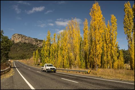 Melbourne to Bright - by Car, Bus and Train - Melbourne Info