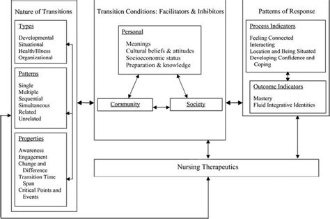 Meleis transition theory pdf