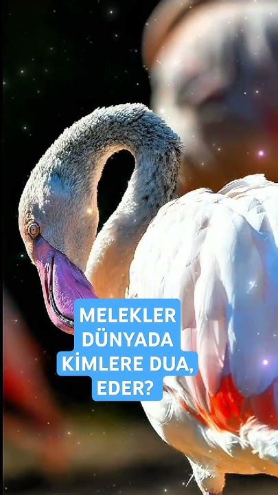 Melekler Kimlere Dua Eder.