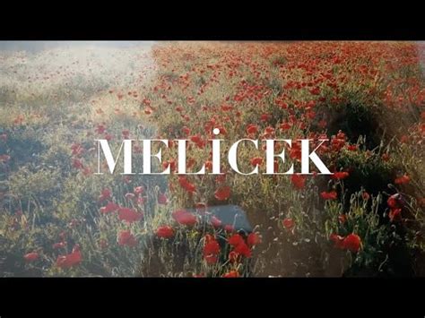 Melicek Halı ve Koltuk Yıkama