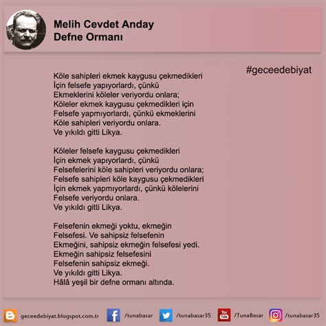 Melih Cevdet ANDAY Defne Ormani.
