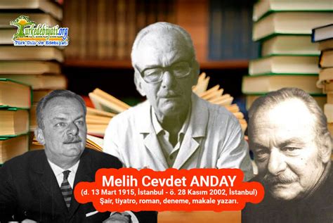 veodersti.rgarabwor.edu.pl. 