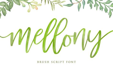 Mellony Brush Script Font Free Download Free Script Fonts
