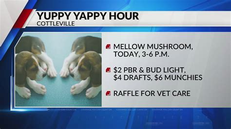 Mellow Mushroom in Cottleville, Missouri hosting 'Yappy Yuppy Hour' today