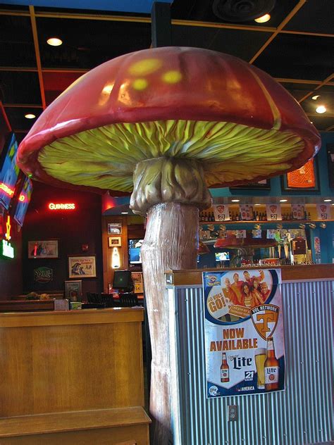Mellow mushroom knoxville. Mellow Mushroom has the best pizza on the strip or within a 10 mile radius of campus. It's one of the first places we ate after moving to Knoxville because we were familiar with the one in Charlottesville, VA and knew it wouldn't poison us. 