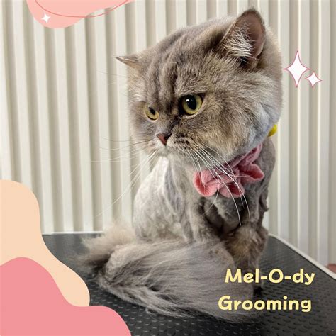 💦 Melodygg Onlyfans Leaked [CLIP] 179 Videos