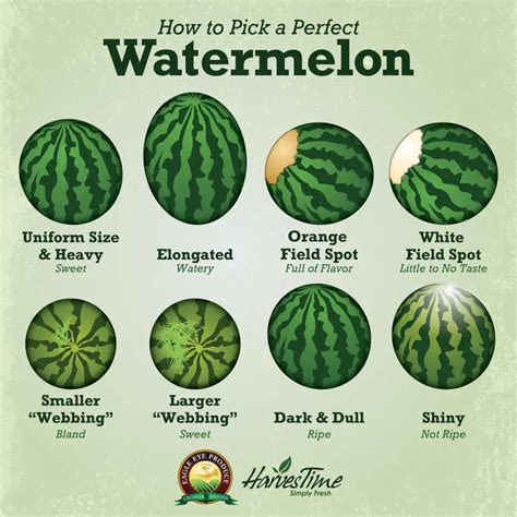 Melon chart