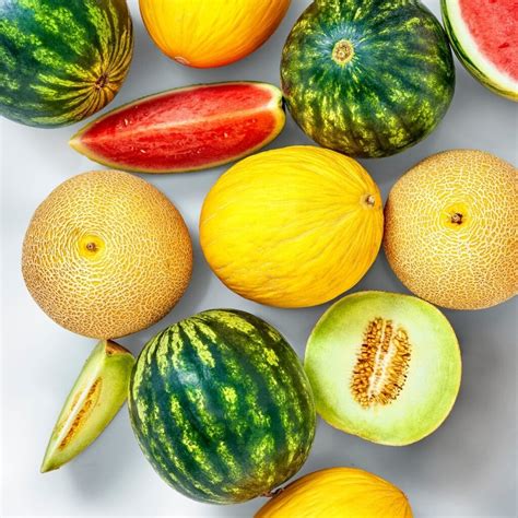 Melons Onlyfans Leak