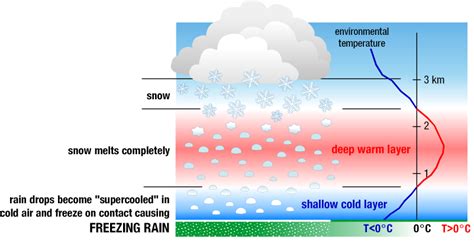 Melting of Snowflakes below Freezing Level in the …