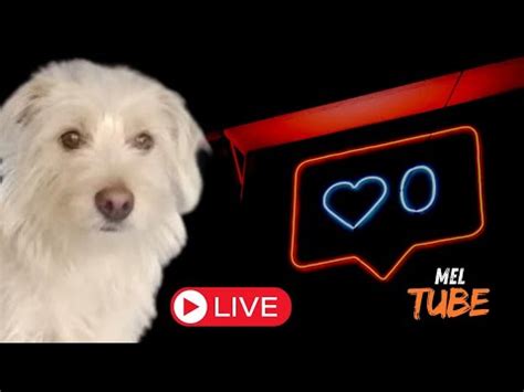Meltube Onlyfans Leak