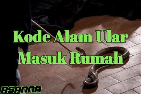 Member baru bonus 100 di awal to kecil. Mimpi ular masuk rumah.