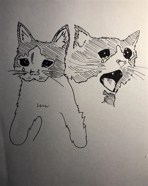 Meme Sad Cat Drawing