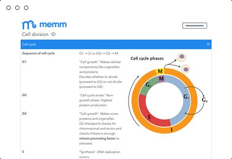 Memm is an excellent study tool for memorization and understandin