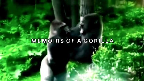 Memoirs of a gorilla lyrics. Things To Know About Memoirs of a gorilla lyrics. 