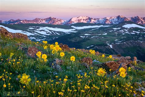 Full Download Memories Of Rocky Mountain National Park By Erik Stensland