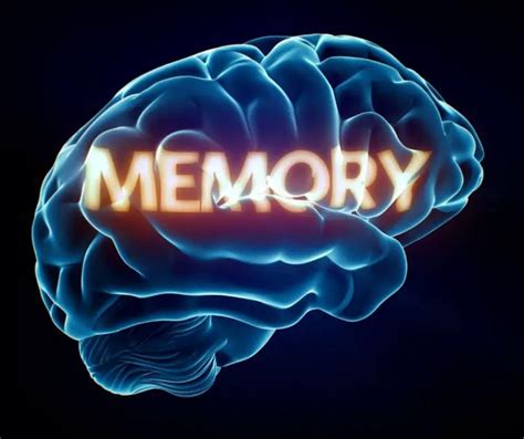 Memory & Storage Crossword