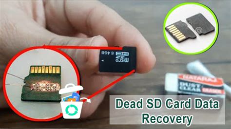 Memory card recovery. Things To Know About Memory card recovery. 