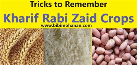 Memory tricks to remember Rabi, Kharif and Zaid crops