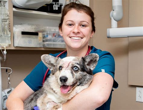 Huey, 37, is a rarity: an animal eye doctor. She is the only such specialist certified by the American College of Veterinary Ophthalmologists in the Memphis region. Her nearest peers are in .... 