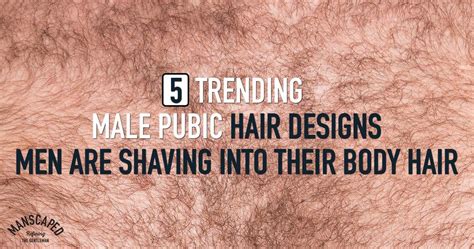 Men's genital hair styles. Things To Know About Men's genital hair styles. 