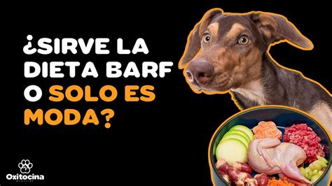 Menú de dieta BARF para perros: características y ventajas