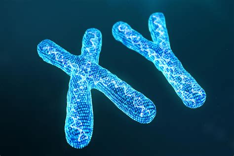 Men Can Apparently Lose Their Y Chromosome With Age — And It Just Might Kill Them Sooner