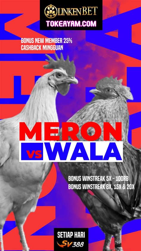 Menang main sabung ayam online. Forum syair hk hari.