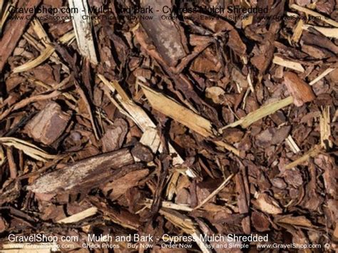 This mulch sells by the amount of coverage it provides, so you’ll want to know the square footage of the area. You can also purchase pine straw by the box or bundle. If you’re looking to increase the curb appeal of your property, pine needle mulch can enhance the look of your outdoor space. Its natural look and easy-to-coordinate color are .... 