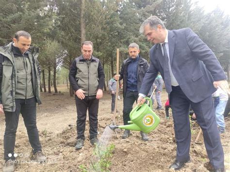 Menderes Orman İşletme Müdürlüğü ormancılık çalışmalarının.
