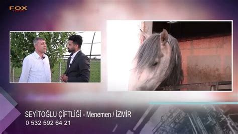 Menemen Course Center Yandex.